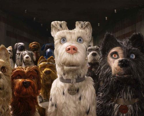 Isle of Dogs is Pawsome