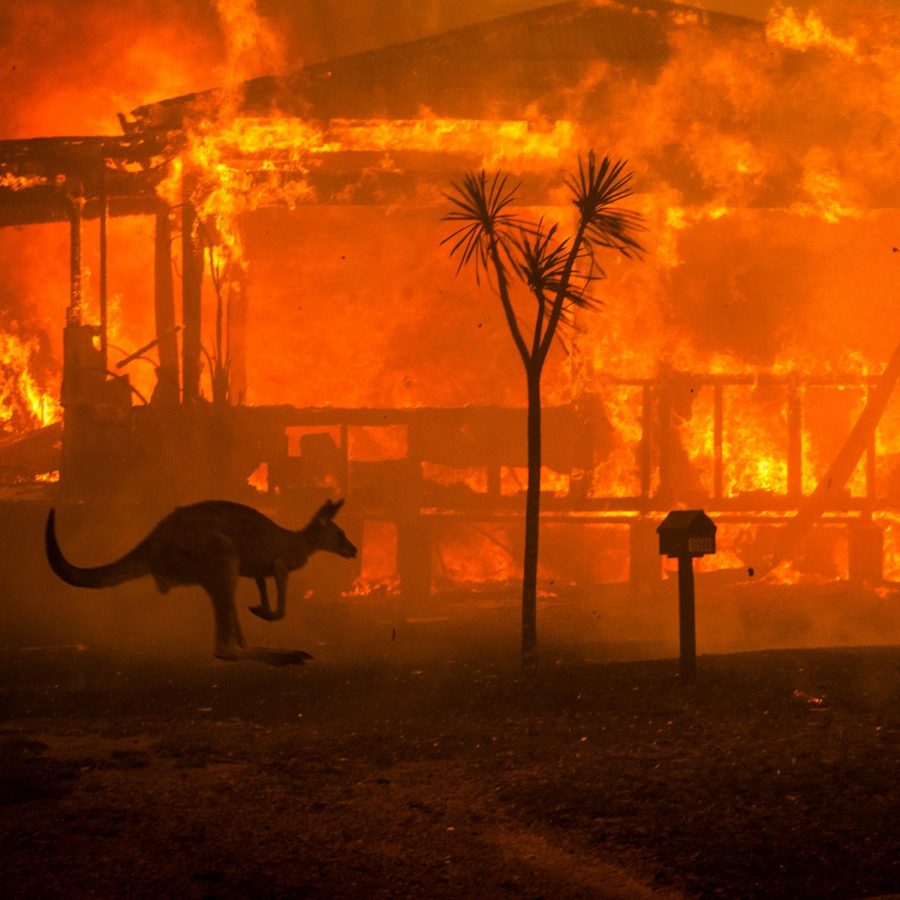 Australian Wildfires