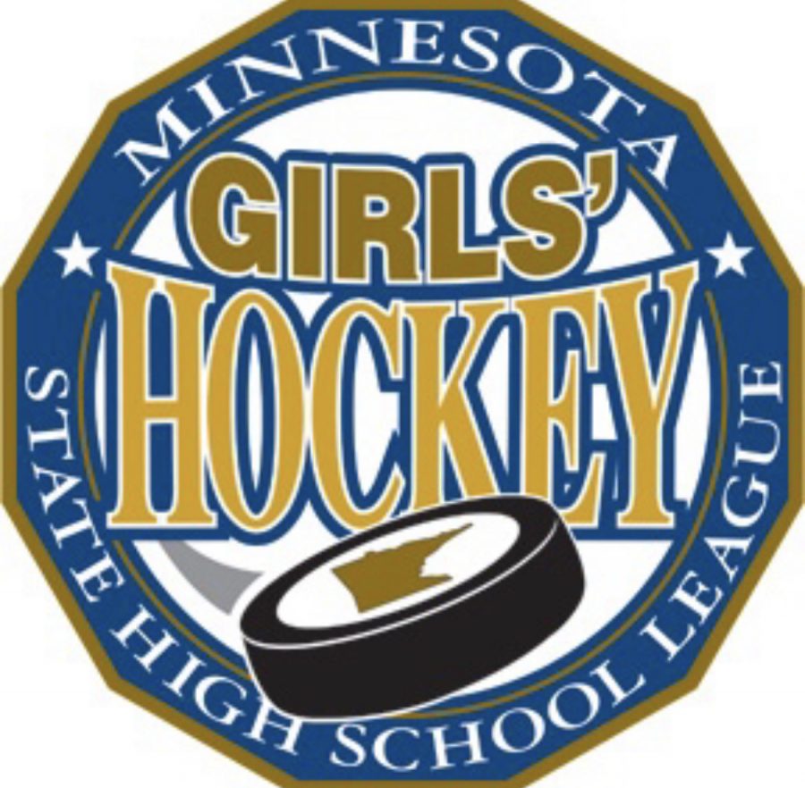 Girls Hockey Section and State Preview