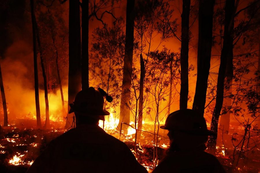 Update on Australian Fires