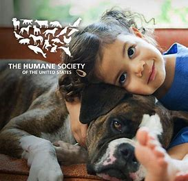 The Truth About Pet Adoption